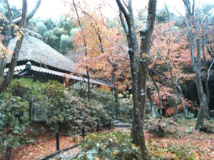 f:id:rku0804:20081210202322j:image