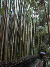 f:id:rku0804:20081210202519j:image