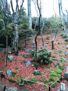 f:id:rku0804:20081210203818j:image