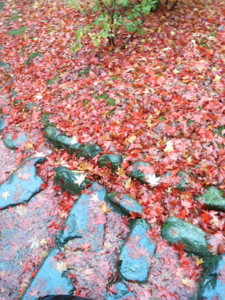 f:id:rku0804:20081210204241j:image