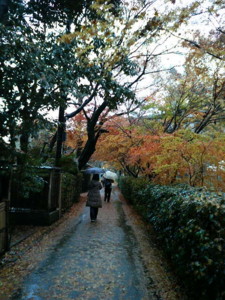 f:id:rku0804:20081210211500j:image