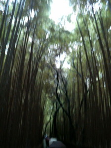 f:id:rku0804:20081210211615j:image