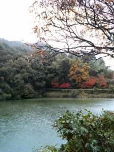 f:id:rku0804:20081210211616j:image
