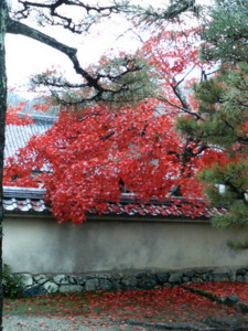 f:id:rku0804:20081210212200j:image