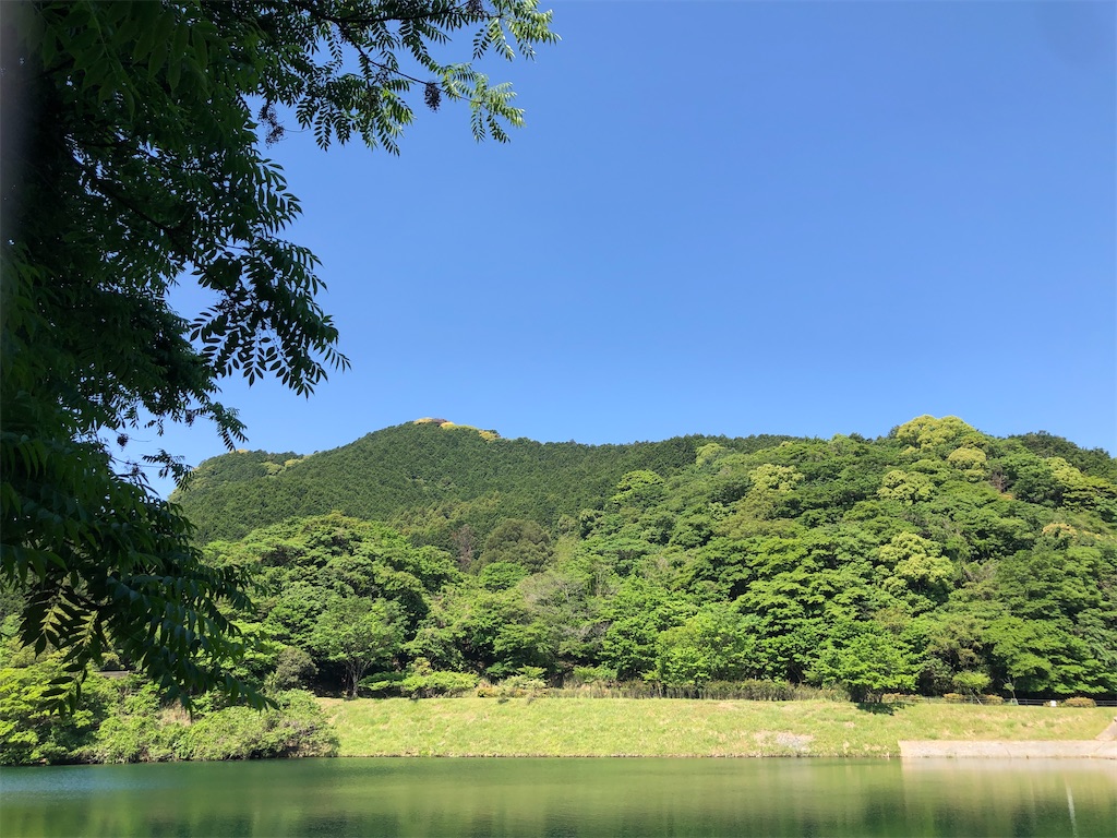 f:id:rkybk:20260527152536j:image