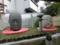 首地蔵