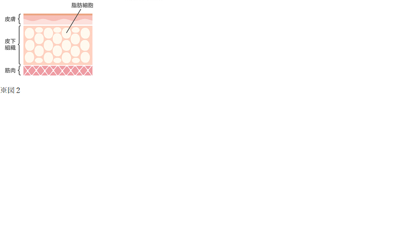 f:id:rmanamana:20210827003327p:plain