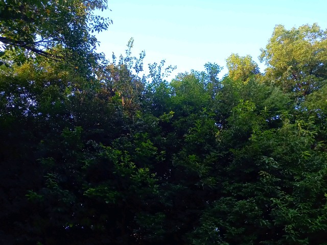 f:id:rmariko45:20211024173426j:image f:id:rmariko45:20211024173426j:image