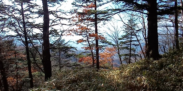 f:id:rmariko45:20211107214303j:image f:id:rmariko45:20211107214303j:image