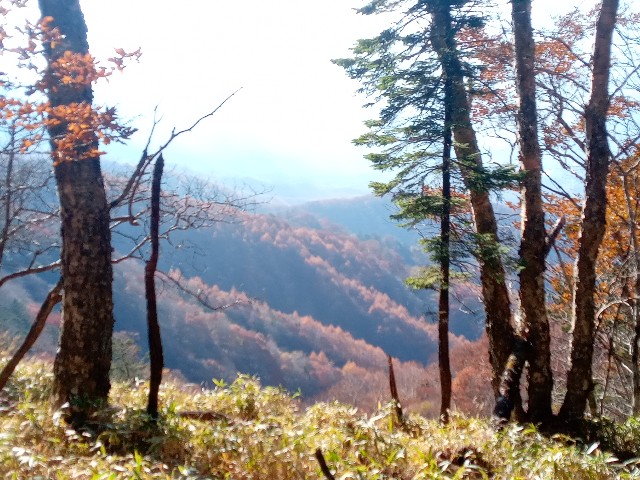 f:id:rmariko45:20211107214355j:image f:id:rmariko45:20211107214355j:image