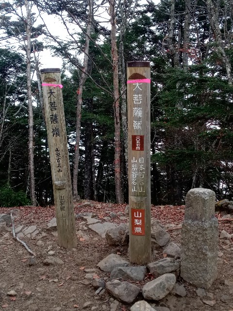f:id:rmariko45:20211107214653j:image f:id:rmariko45:20211107214653j:image