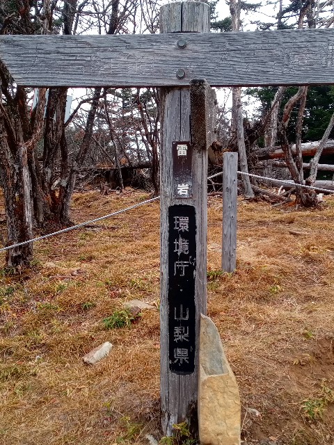 f:id:rmariko45:20211107215312j:image f:id:rmariko45:20211107215312j:image