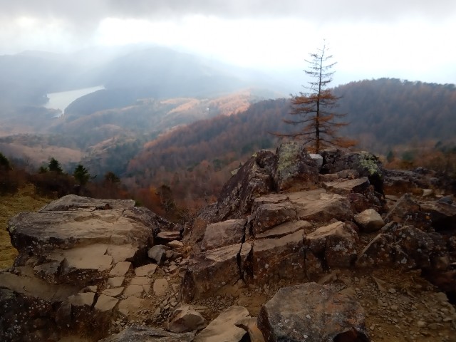 f:id:rmariko45:20211107220851j:image f:id:rmariko45:20211107220851j:image