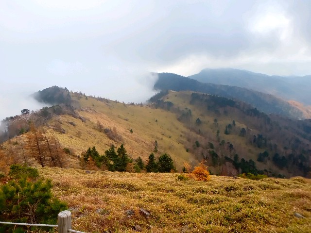 f:id:rmariko45:20211107221446j:image f:id:rmariko45:20211107221446j:image