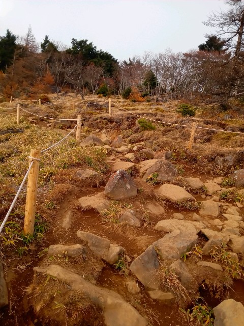 f:id:rmariko45:20211107221617j:image f:id:rmariko45:20211107221617j:image