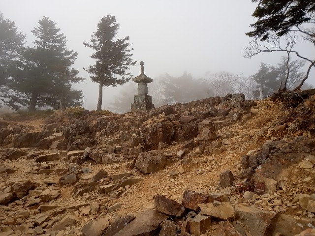 f:id:rmariko45:20211107222010j:image f:id:rmariko45:20211107222010j:image