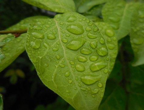 f:id:rmenx13:20200522063857j:plain
