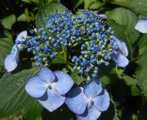 f:id:rmenx13:20200608131112j:plain