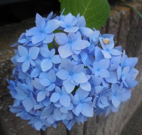 f:id:rmenx13:20200609191436j:plain