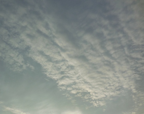 f:id:rmenx13:20201107064143j:plain