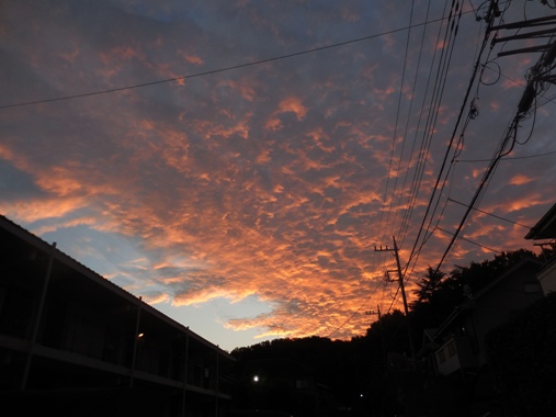 f:id:rmenx13:20201107064202j:plain