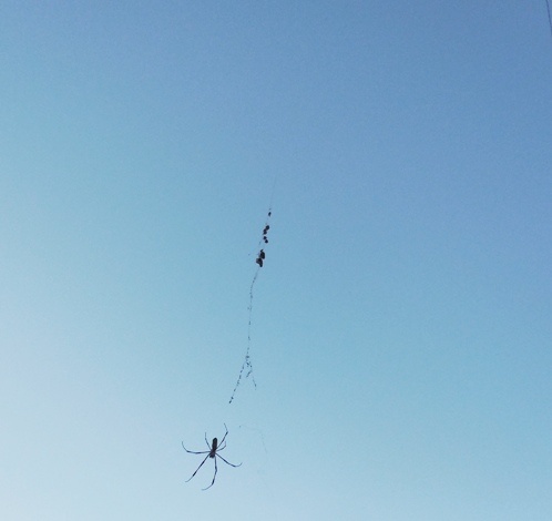 f:id:rmenx13:20201122101317j:plain