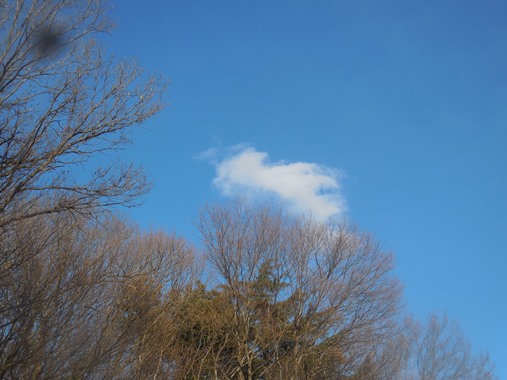 f:id:rmenx13:20210109151921j:plain