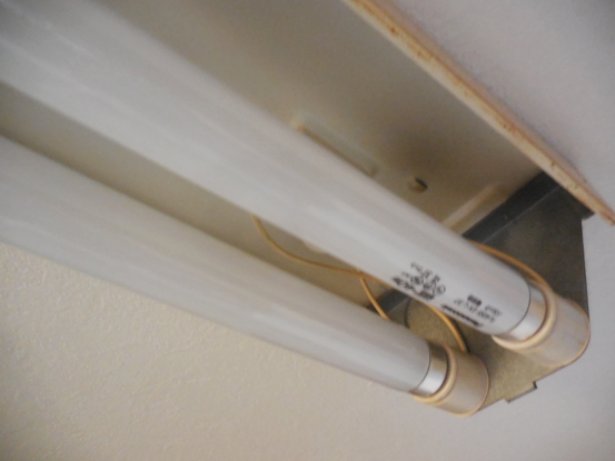 f:id:rmenx13:20211019070727j:plain