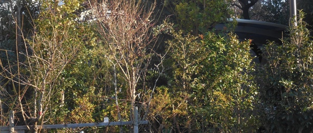 f:id:rmenx13:20220116161225j:plain