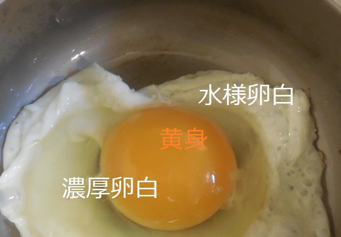 Boundless Voyage チタン ボウル 目玉焼きを作っていたら小爆発 車が横転 Rmenx S Blog