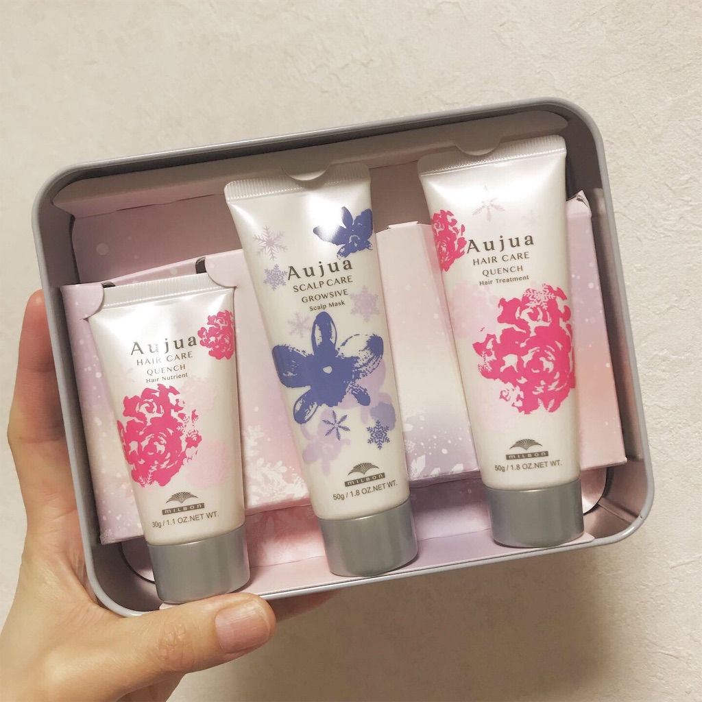 f:id:rmpgrk:20191202205150j:image