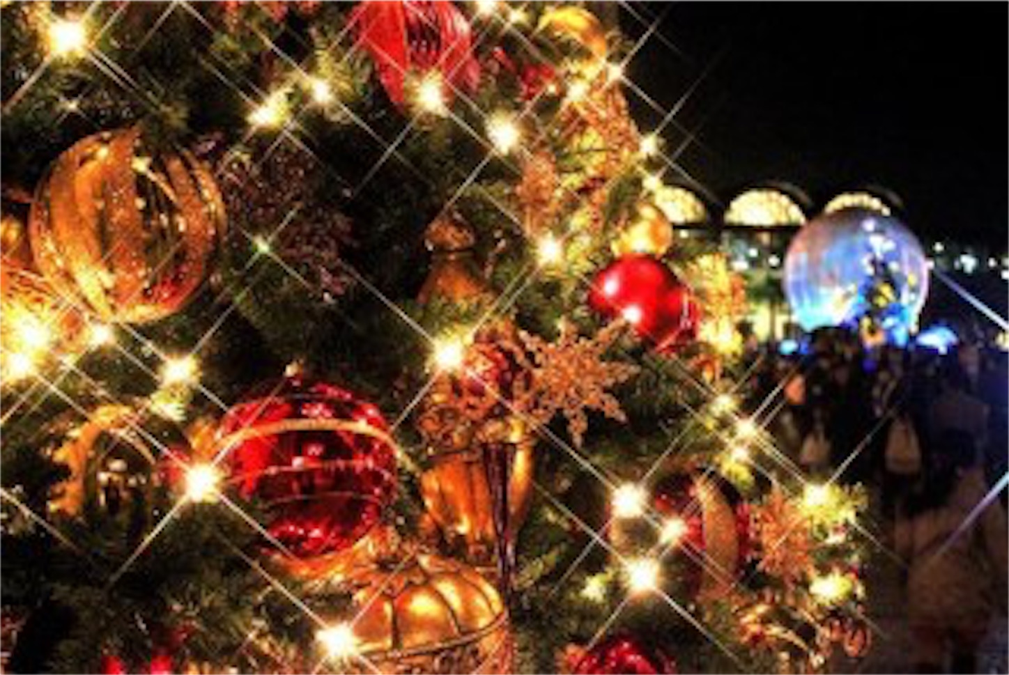 f:id:rmr_mn:20171218010059j:image
