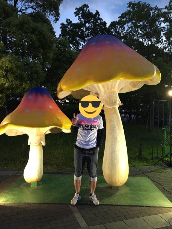 f:id:rmrmrmarmrmrm:20190511003203j:plain