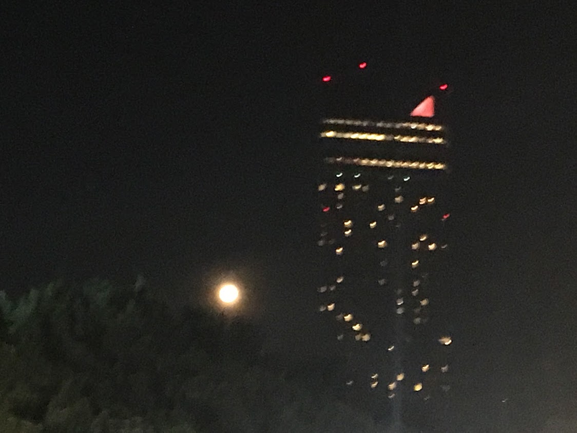 f:id:rmrmrmarmrmrm:20190822152316j:plain