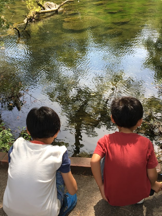 f:id:rmrmrmarmrmrm:20190926140749j:plain
