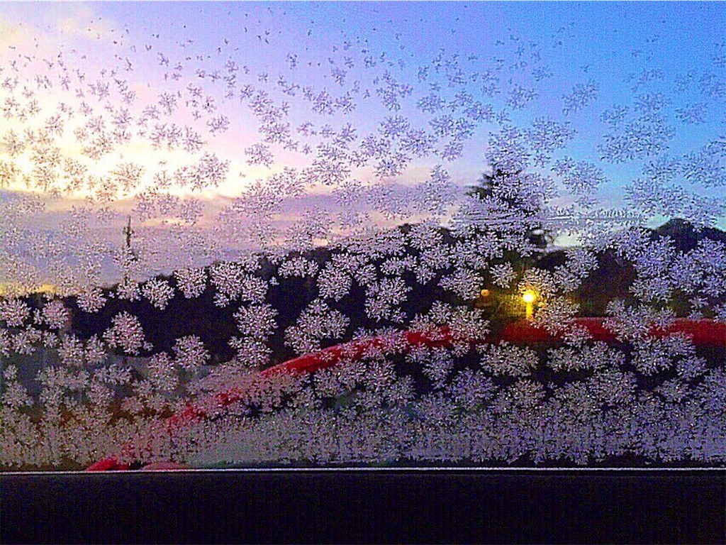 f:id:rmutsumi:20190211084004j:image f:id:rmutsumi:20190211084004j:image
