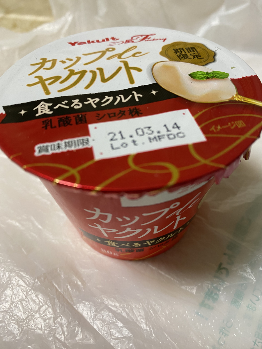 f:id:rnakaji:20210304204134j:plain