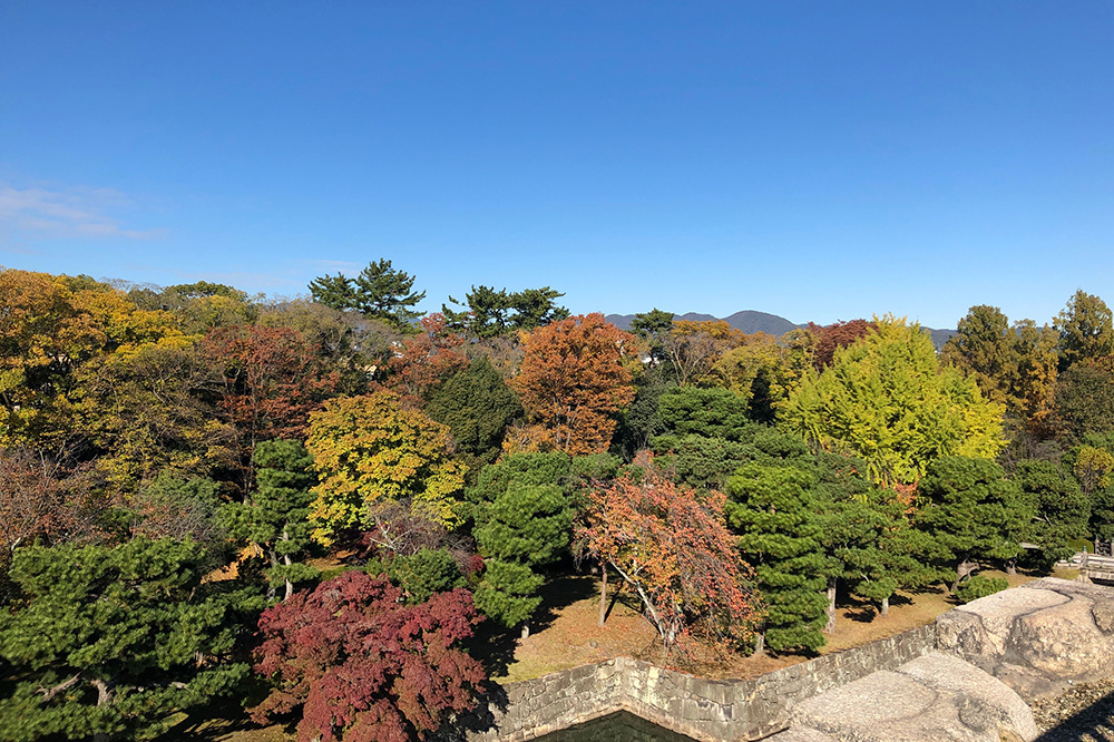 二条城からの紅葉