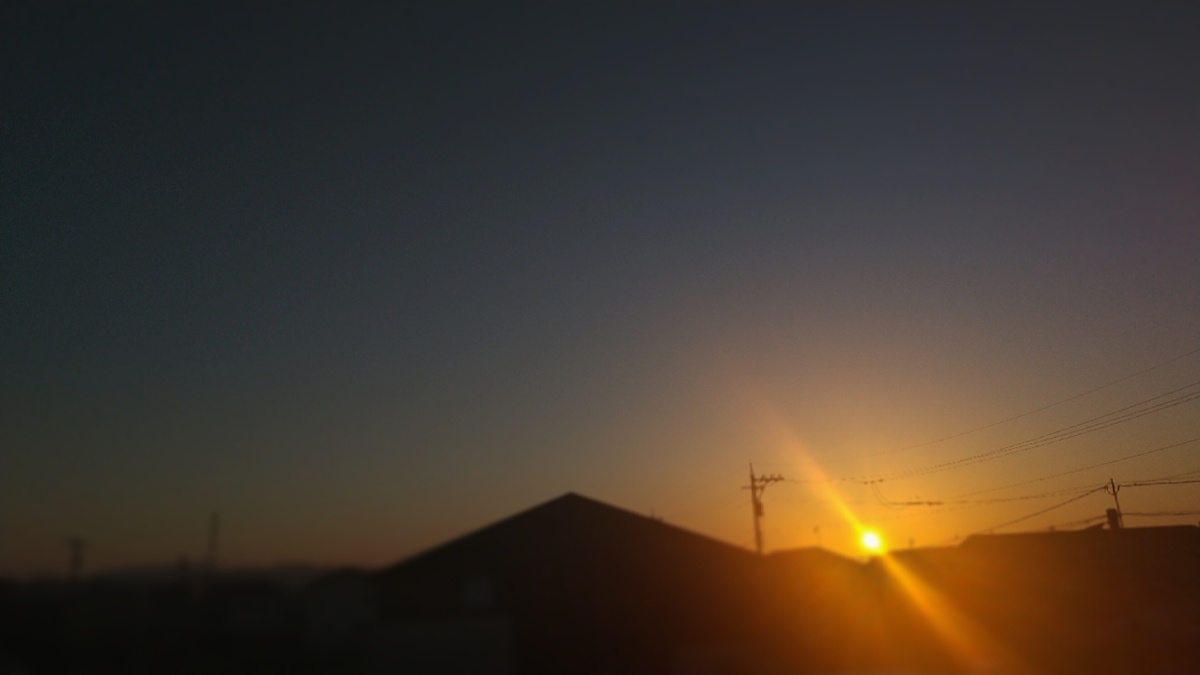 f:id:rnizuki:20210611092659j:plain