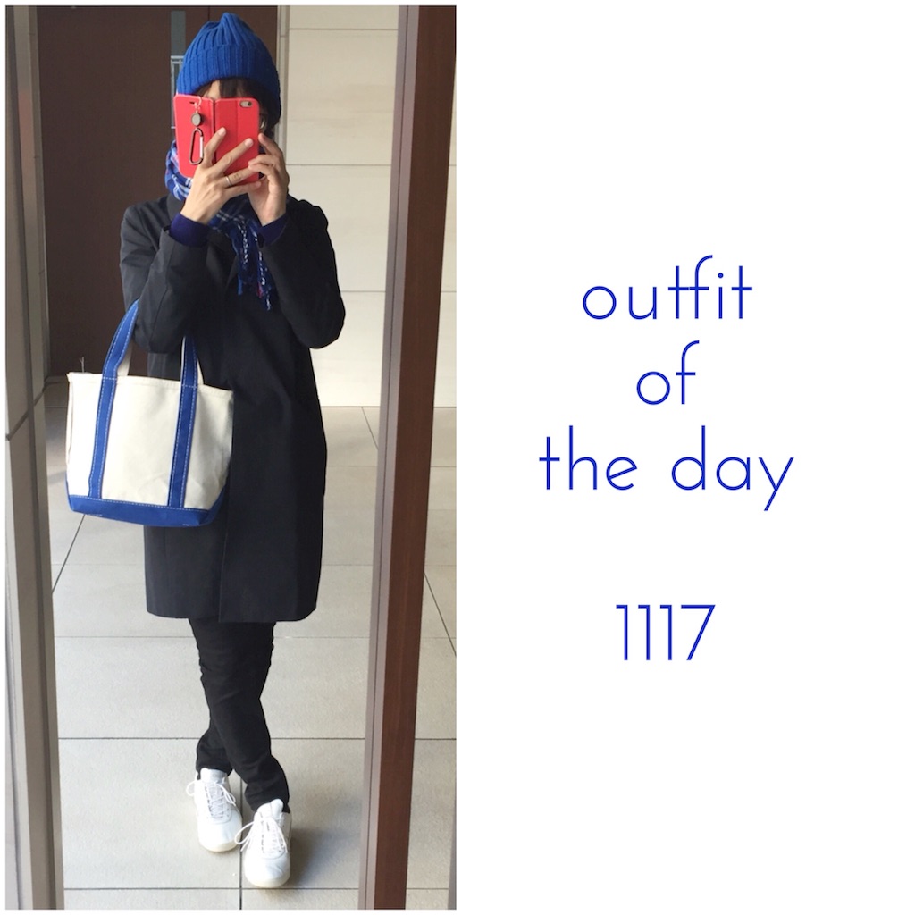 f:id:rno670:20161117092217j:image