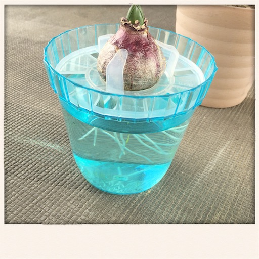f:id:rno670:20170112102312j:image