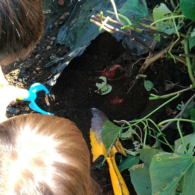 f:id:rno670:20181029093047j:image