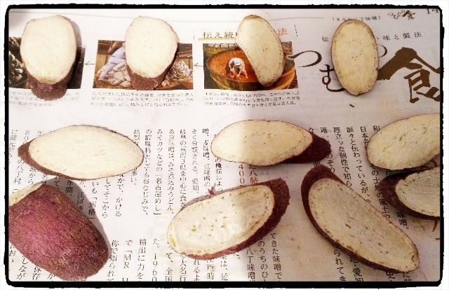 f:id:rno670:20190220140857j:image