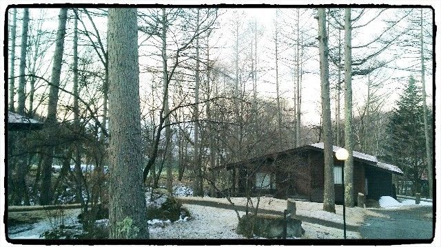 f:id:rno670:20190317172758j:image f:id:rno670:20190317172758j:image