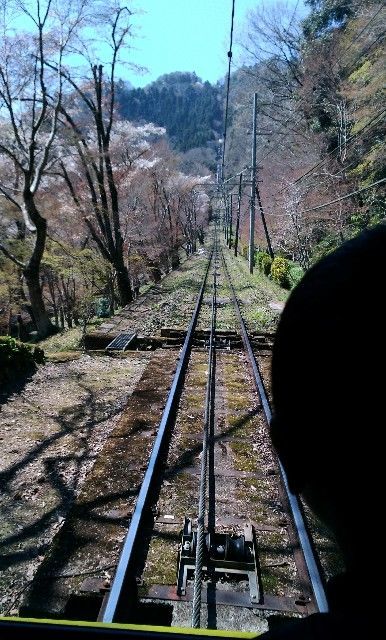 f:id:rno670:20190404205503j:image