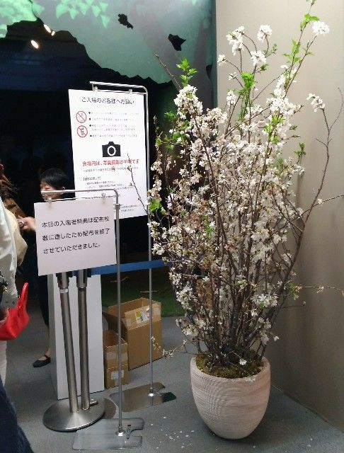 f:id:rno670:20190406175652j:image
