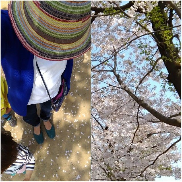 f:id:rno670:20190407140726j:image