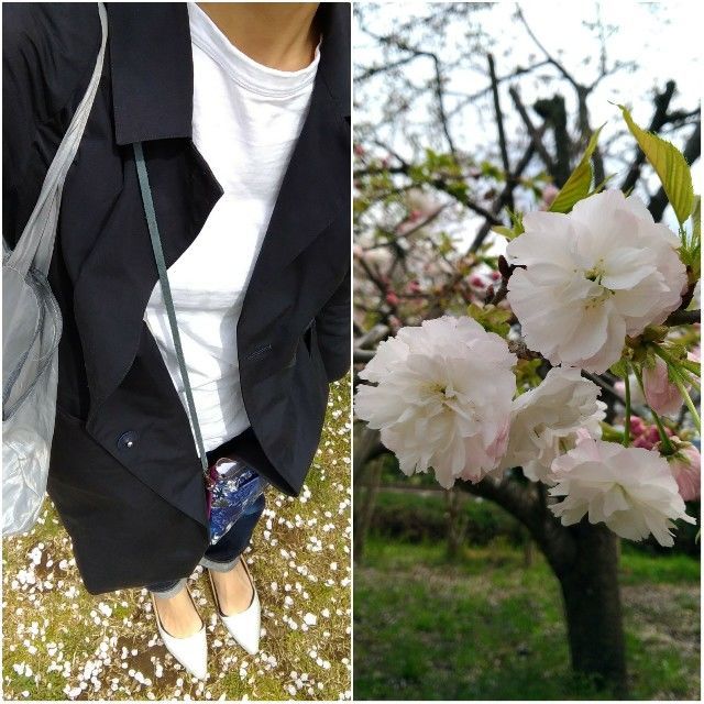 f:id:rno670:20190414123326j:image