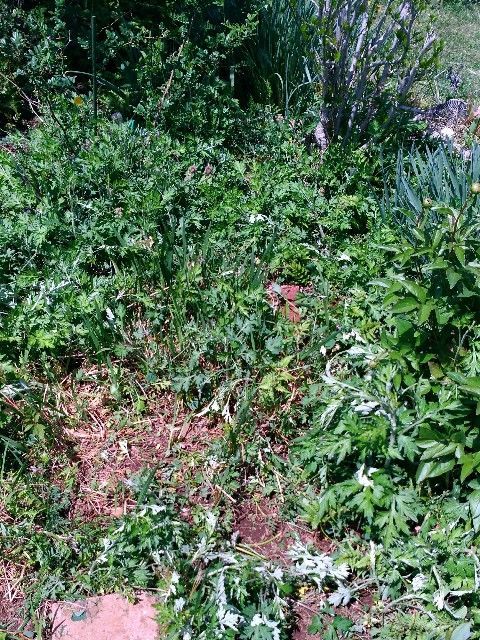 f:id:rno670:20190429235056j:image