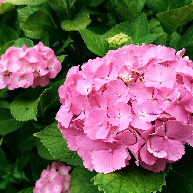 f:id:rno670:20190609191911j:image
